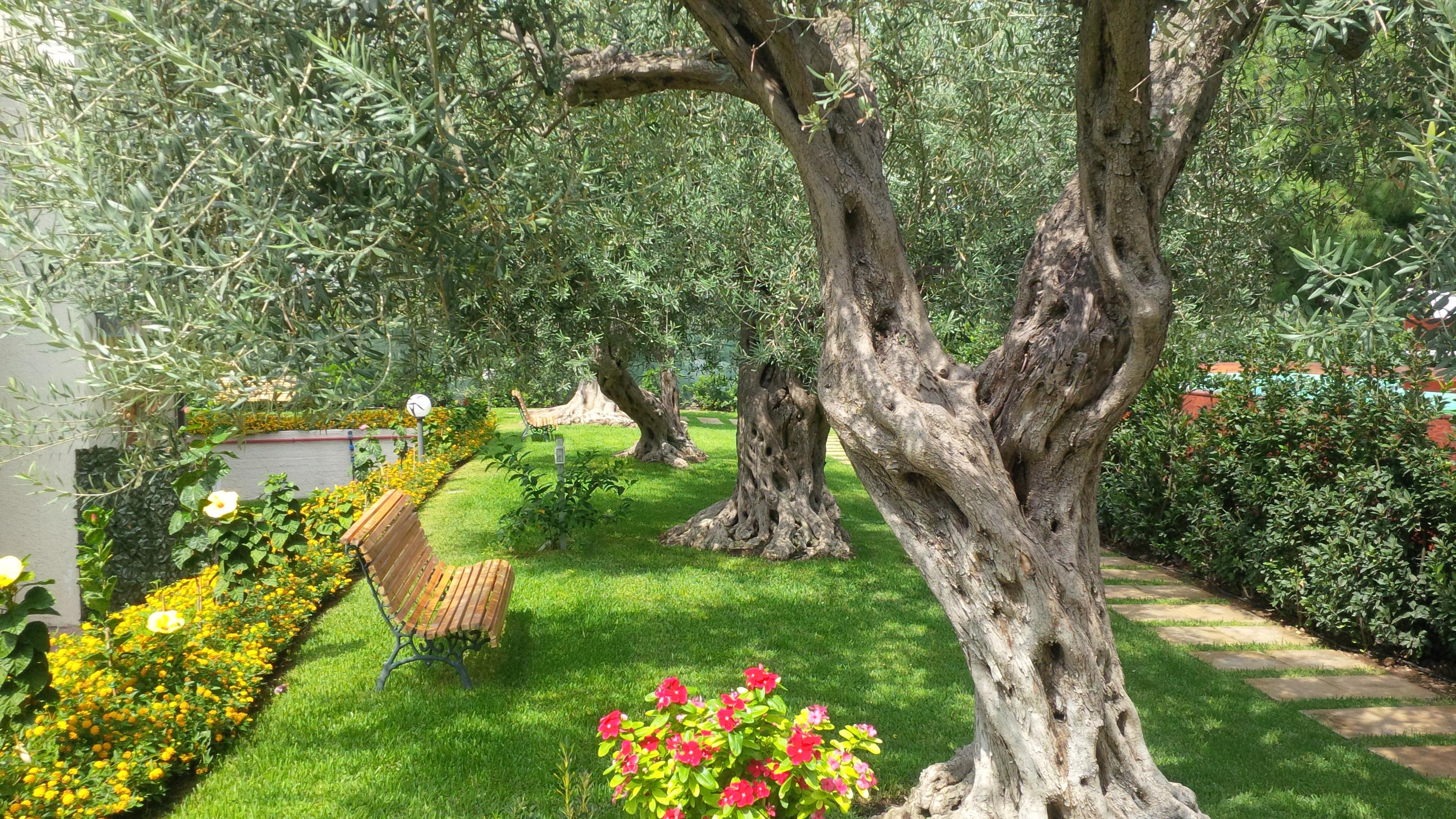 Villa Collina Giardini Naxos Ngoại thất bức ảnh